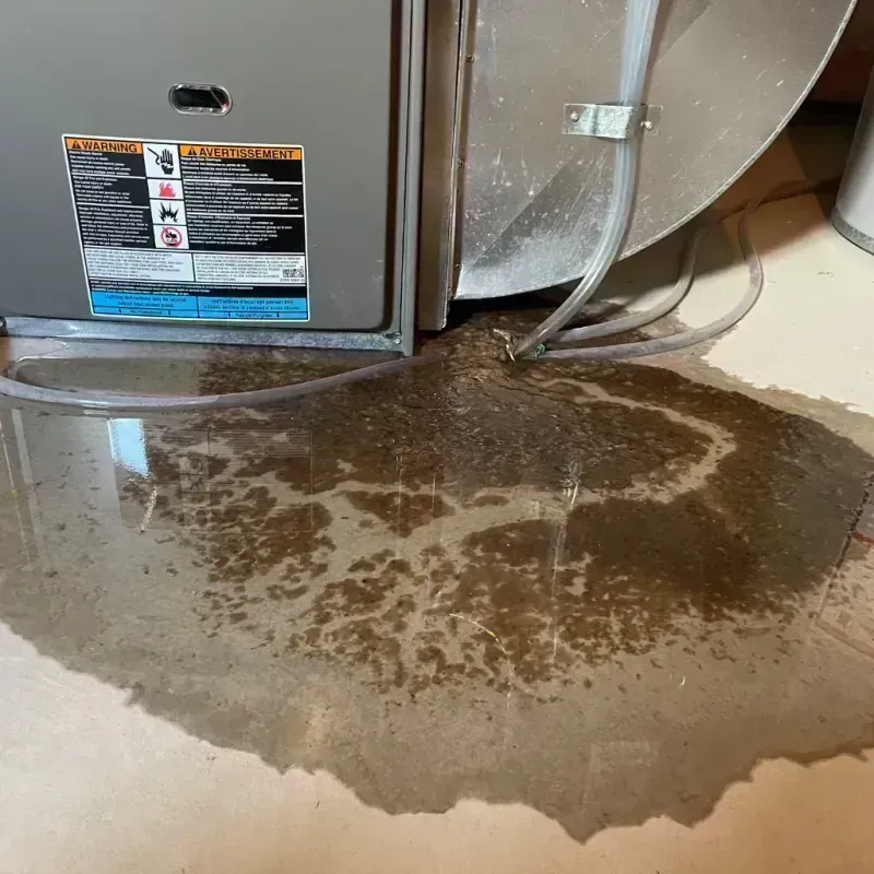 Appliance Leak Cleanup in Sebree, KY